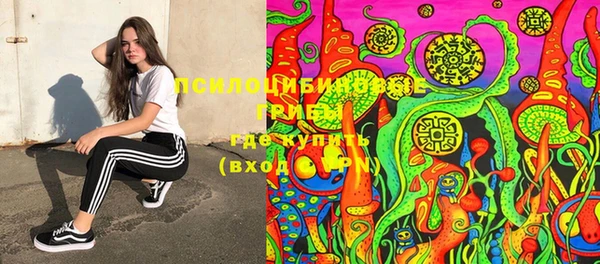 таблы Богданович