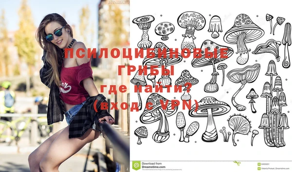 таблы Богданович