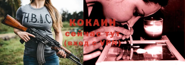 кокс Богородицк