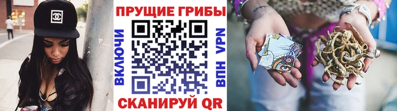 закладка  Барнаул  Галлюциногенные грибы прущие грибы 